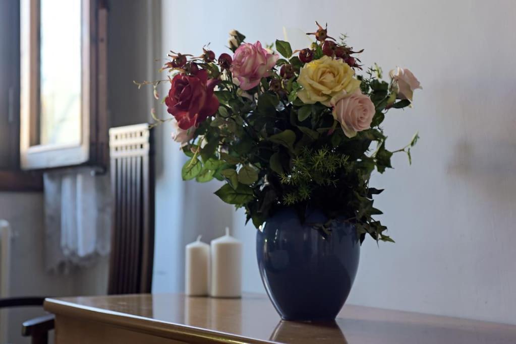 Cozy Apartment With Private Garden - City Center - Florence Ngoại thất bức ảnh